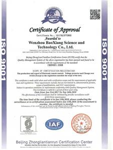 ISO9001 English version