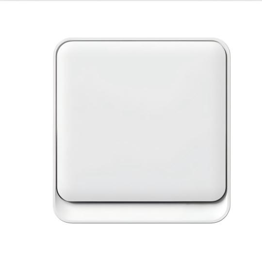 Switch Socket